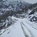 Ψυχρή εισβολή από την Αρκτική απειλεί την Ελλάδα – Κίνδυνος παγετού και ζημιών στην αγροτική παραγωγή