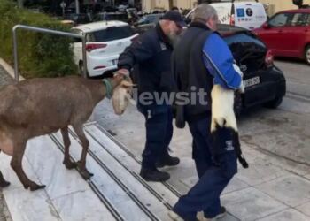 Δεν θα πιστεύετε ποιος είναι ο άντρας που το είχε παράνομο μαντρί στους Αμπελόκηπους