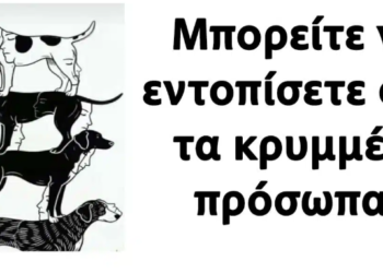 Μπορείτε να εντοπίσετε όλα τα κρυμμένα πρόσωπα;