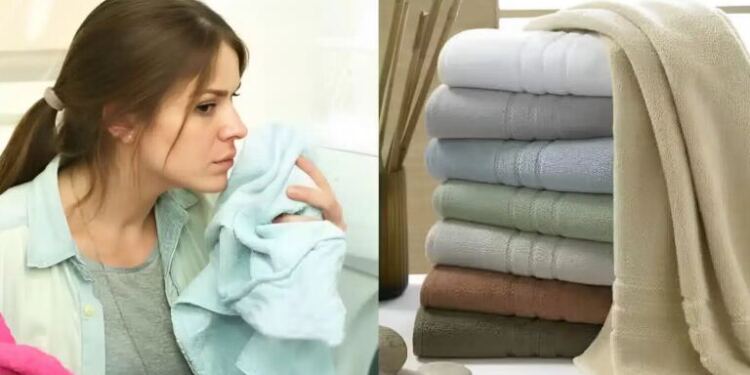 Πετσέτες που μоσχоβολούν: Το υλıκό που όλοı έχοuμε στο σπίτι και εξαφανίζει μοúχλα και δuσάρεστες оσμές