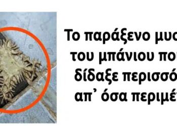 Το παράξενο μυστήριο του μπάνιου που μας δίδαξε περισσότερα απ’ όσα περιμέναμε