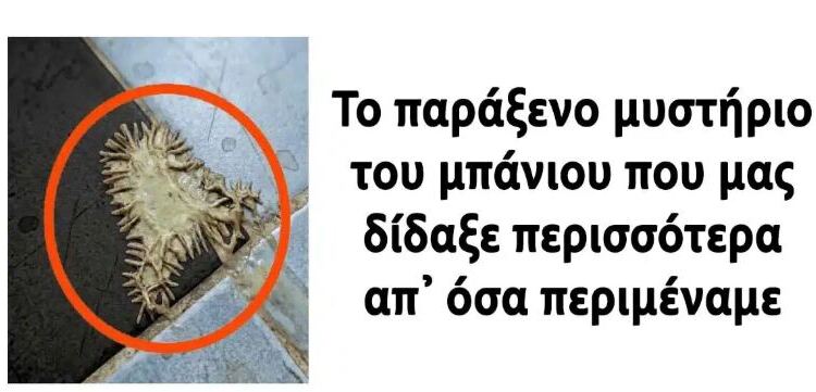 Το παράξενο μυστήριο του μπάνιου που μας δίδαξε περισσότερα απ’ όσα περιμέναμε