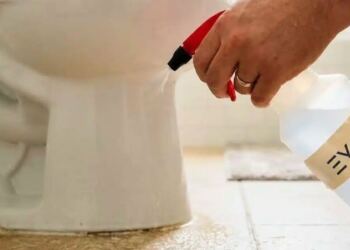 Ψεκάζοντας ξίδι γύρω από τη λεκάνη: Γιατί το προτείνουν οι ειδικοί και σε τι βοηθά