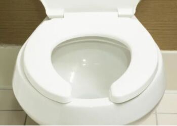 Πώς λέγεται στα ελληνικά η «τουαλέτα»;