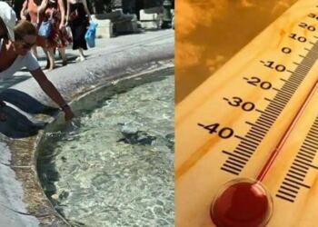 Τι γίνεται στον εγκέφαλο μας όταν έχει καύσωνα – Γιατί έχουμε αύξηση στον εκνευρισμό, το άγχος, και την επιθετικότητα