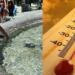 Τι γίνεται στον εγκέφαλο μας όταν έχει καύσωνα – Γιατί έχουμε αύξηση στον εκνευρισμό, το άγχος, και την επιθετικότητα