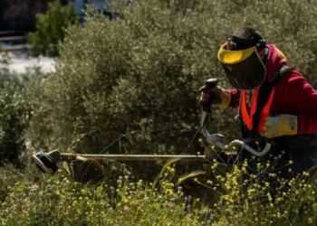 Καθαρισμός οικοπέδων: «Φρένο» υπουργείου στην παράταση – Στα ύψη τα πρόστιμα για τους ξεχασιάρηδες