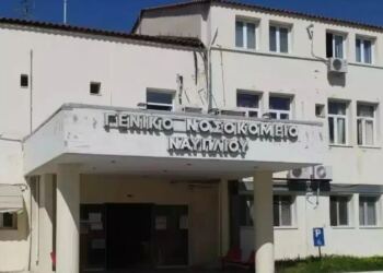 Γιαννάκος για τη νοσηλεύτρια στο Ναύπλιο: «Την προπηλάκισαν 30 Ρομά, έπαθε ανακοπή και πέθανε επειδή δεν άντεξε το στρες»